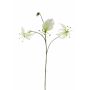 Deko Gloriosa TIANA, weiß-grün, 85cm, Ø9-10cm