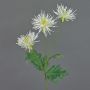 Deko Chrysantheme SOLVIE, weiß-gelb, 75cm, Ø11-12cm