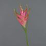 Kunst Helikonien Blüte TOMKE, pink-grün, 80cm, Ø18cm