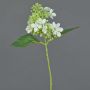 Kunst Hortensie CHABY, weiß-grün, 30cm, Ø9cm