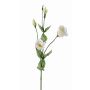 Kunst Lisianthus JUDIKA, weiß-grün, 70cm, Ø6-7cm