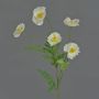 Künstliche Mohnblume KEIRA, weiß, 65cm, Ø5-6cm