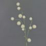Kunst Ballon-Wolfsmilch EMRAH, creme, 80cm, Ø3-4,5cm
