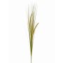 Deko Fuchsschwanzgras JILL, Stecker, Rispen, grün-gelb, 90cm