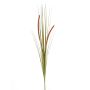 Deko Fuchsschwanzgras JILL, Stecker, Rispen, grün-rot, 90cm