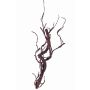 Kunst Korkenzieherweide Zweig JACE, braun-rot, 55cm