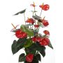 Kunst Anthurium LIOSA zum Stecken, rot, 80cm, 8x10cm