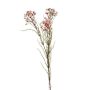 Deko Zweig Wachsblume MEDEA, rosa, 80cm
