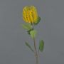 Künstliche Blume Banksia robur CONAKIR, gelb, 55cm, Ø6,5cm