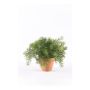 Kunstpflanze Asparagus sprengeri MONET im Tontopf, 20cm
