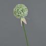 Allium künstlich DURBAN, weiß, 70cm, Ø9cm