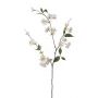 Deko Zierpfirsich Zweig CAMILLES, creme, 80cm