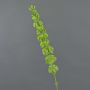 Künstliche Blume Irlandglocke SIERA, grün, 80cm, Ø7cm