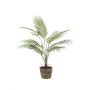 Künstliche kleine Palme Bergpalme ALUVIAL im Terracottatopf, 85cm