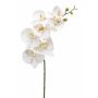 Phalaenopsis Orchideezweig künstlich NEITH, weiß, 75cm, Ø7-10,5cm