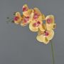 Phalaenopsis Orchideezweig künstlich NEITH, orange-pink, 75cm, Ø7-10,5cm