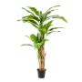 Bananenpflanze künstlich Trio BAGHEERA, 210cm