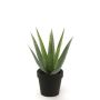Kunst Sukkulente Aloe Variegata MARTINEZ, grün, 25cm, Ø17cm