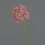 Allium künstlich ARNAU, rosa, 60cm, Ø10cm