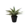Künstliche Sukkulente Drachenbaum-Agave DESIREE, grün, 20cm, Ø25cm