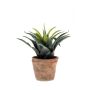 Künstliche Agave decipiens SEDA im Terracottatopf, grün, 20cm, Ø25cm