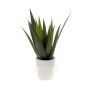 Kunst Sukkulente Aloe Variegata MARTINEZ, Keramiktopf, grün, 30cm, Ø17cm