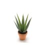 Kunst Sukkulente Aloe Variegata MARTINEZ, Tontopf, grün, 30cm, Ø17cm