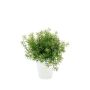 Künstliche Kräuter Asparagus sprengeri JOSHUA im Keramiktopf, 20cm, Ø17cm