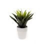 Künstliche Agave decipiens SEDA im Keramiktopf, grün, 25cm, Ø25cm