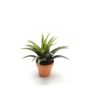 Künstliche Agave decipiens SEDA im Tontopf, grün, 25cm, Ø25cm