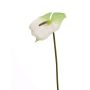 Kunstblume Flamingoblume MOIRA, weiß-grün, 75cm, 13x18cm
