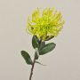Kunst Nadelkissen Protea BAILY, gelb-grün, 55cm, Ø10cm