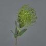 Kunst Nadelkissen Protea BAILY, grün, 55cm, Ø10cm