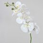 Dekozweig Phalaenopsis Orchidee OPHELIA, weiß, 80cm, Ø8-9cm