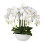 Künstliche Phalaenopsis Orchidee KASDA, Keramikschale, Wurzeln, weiß, 55cm