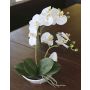 Plastik Phalaenopsis Orchidee ZARMINAH in Keramikschale, weiß, 35cm