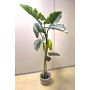 Plastik Colocasia YORICK, grün, 180cm