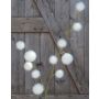 Dekozweig Gomphocarpus ELAENA, Früchte, creme-weiß, 100cm