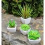 Kunst Aloe Vera KATNISS, Keramiktopf, grün, 9cm