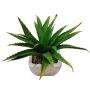 Kunst Aloe Vera KATNISS, Keramiktopf, grün, 19cm