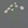 Dekozweig Nelke PIARA, zartrosa, 60cm, Ø3-5cm