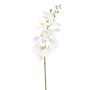 Phalaenopsis Orchideenzweig künstlich AXELOR, weiß, 85cm