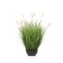 Kunstgras Lampenputzergras WALERIAN in Dekoschale, mit Rispen, grün, 80cm