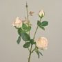 Samt Rose DELILAH, hellrosa, 55cm, Ø6cm
