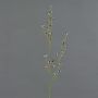 Deko Zweig Stirlingia latifolia COLLAN, schwarz-weiß, 75cm, Ø1cm