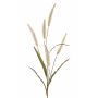 Kunstgras Lampenputzergras HIWA, Rispen, beige, 135cm