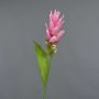 Fake Blume Kurkuma LAROUCO, rosa, 75cm, Ø8cm