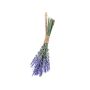 Dekobündel Lavendel SARAY, lila-blau, 25cm