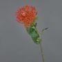 Künstliche Blume Nadelkissen Protea HERVAS, rot-orange, 70cm, Ø12cm