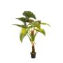 Kunstpflanze Colocasia SOTU, grün, 160cm